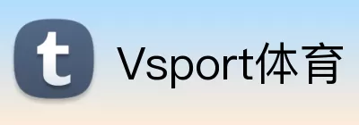 Vsport体育 logo